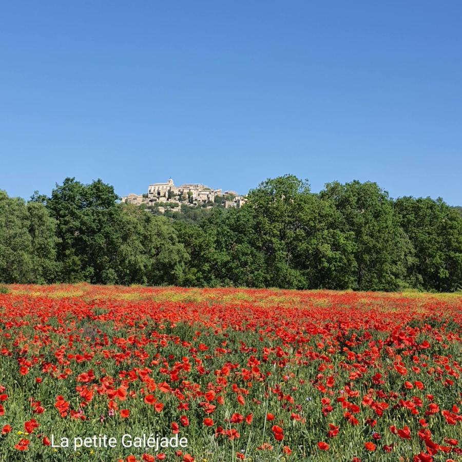 Villa La Petite Galejade Gordes Exterior foto