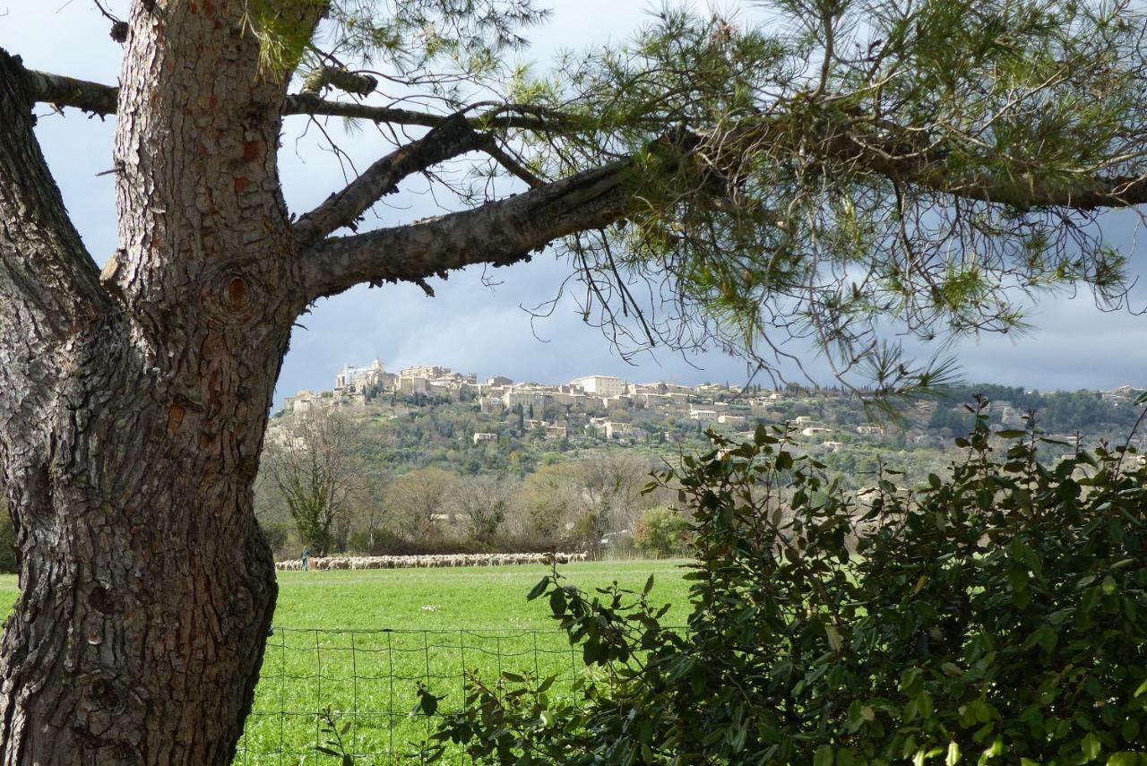 Villa La Petite Galejade Gordes Exterior foto