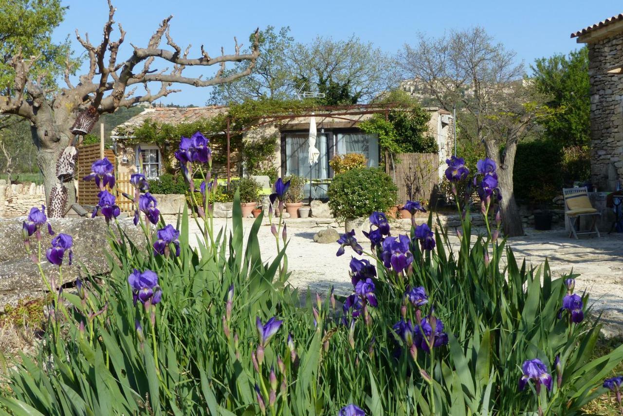 Villa La Petite Galejade Gordes Exterior foto